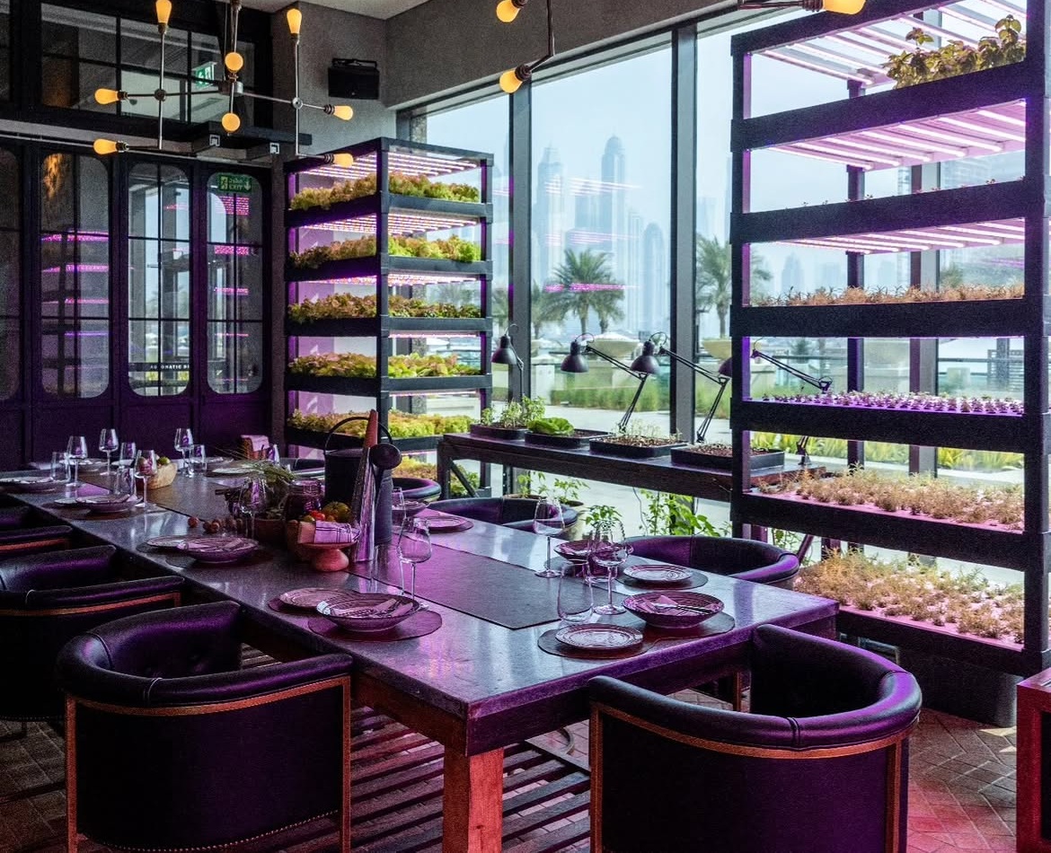 10+ Best Italian Restaurants in Palm Jumeirah